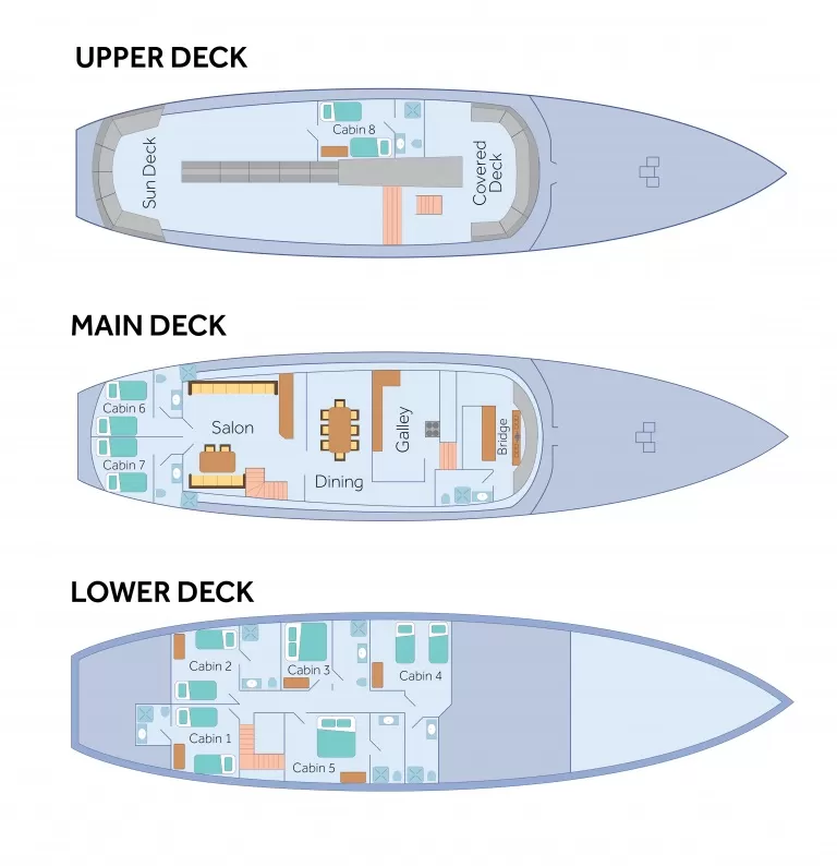 Beluga; Deck plan