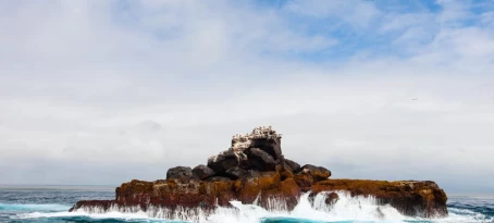 Isabela rock with birds