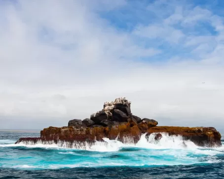 Isabela rock with birds