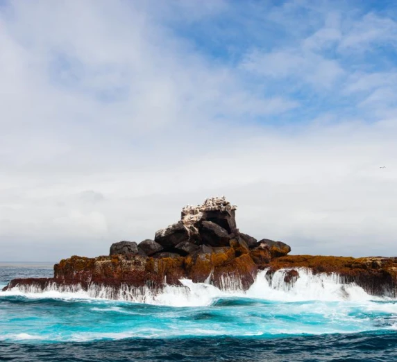 Isabela rock with birds