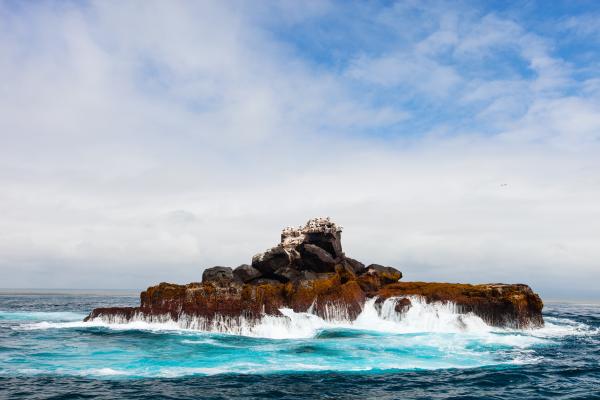 Galapagos Cruise – Isabela & Fernandina Islands Galapagos cruise on the ...