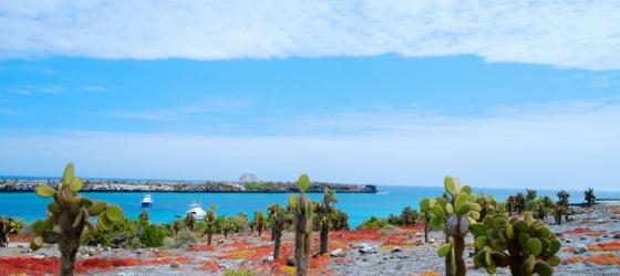 South Plaza Island