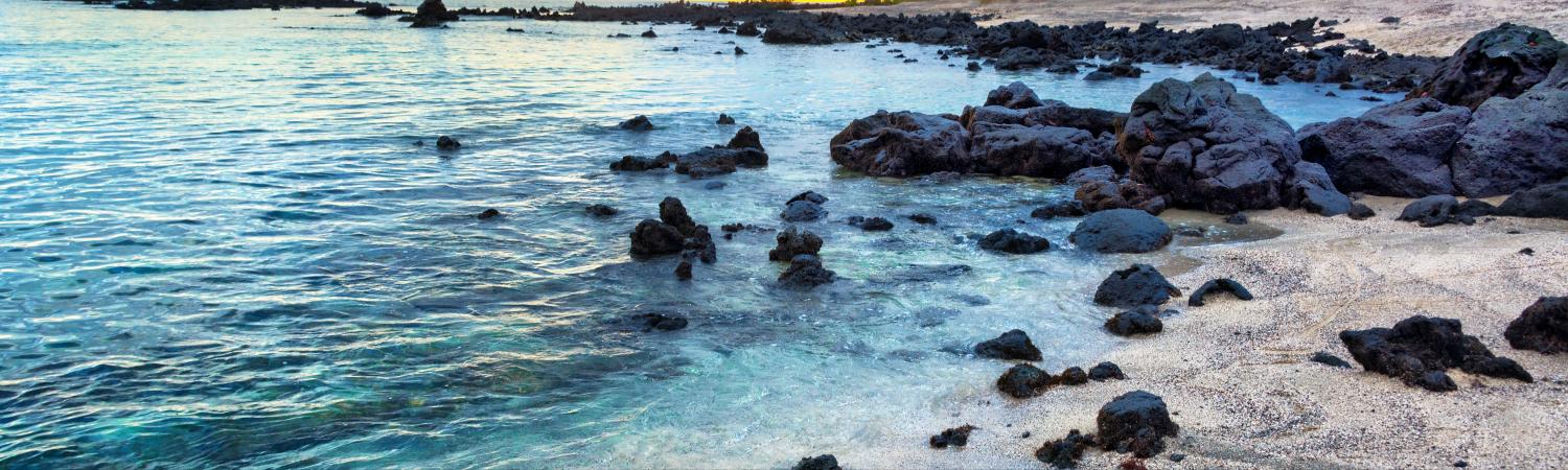 10 Best Ecuador Tours, Trips & Cruises to Galapagos & Amazon for 2022-2023