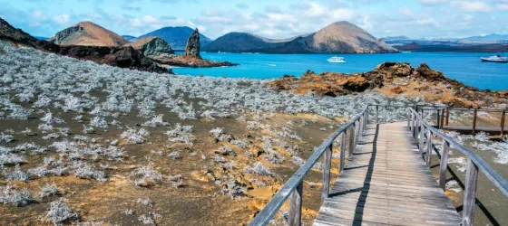 Wooden boardwalk in Bartolome