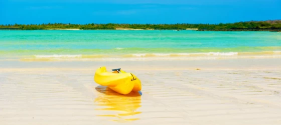 Kayak on a beach in the galapagos