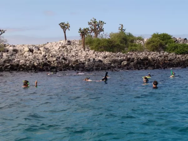 snorkeling in the galapagos