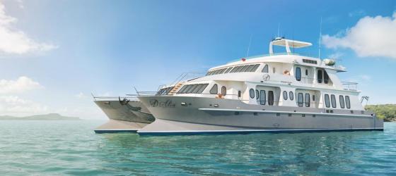 Alia cruising through blue waters