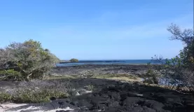 Espinoza Point, Fernandina Island, Galapagos