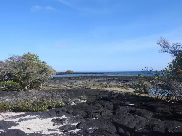 Espinoza Point, Fernandina Island, Galapagos