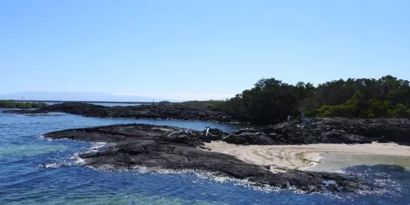 Moreno Point, Isabela Island, Galapagos