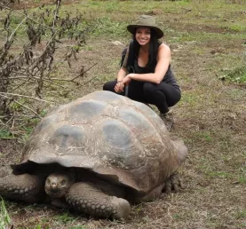Santa Cruz Island, Galapagos, Tortoise