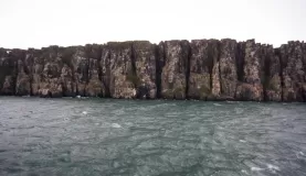 The bird cliffs of Alkefjellet