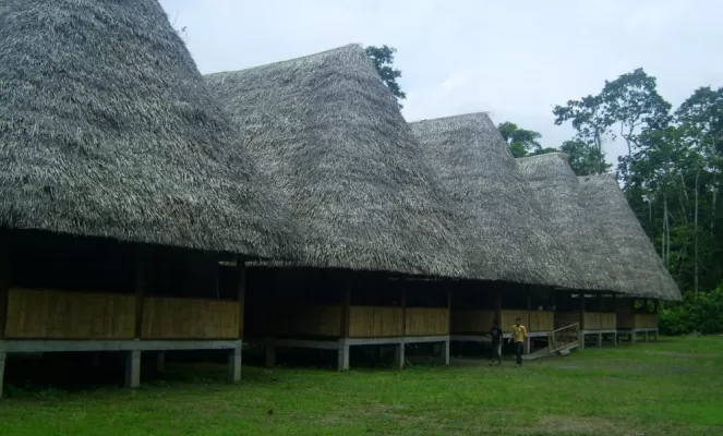 Yasuni Kichwa Ecolodge, Amazon