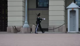 Guard at the Royal Palace.