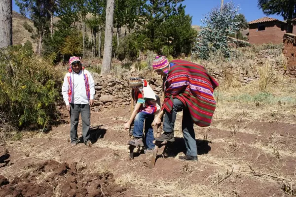 Tilling the soil