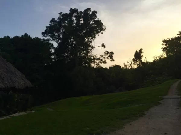 Sunset in the jungle