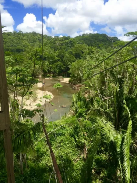 The longest run on the zipline course