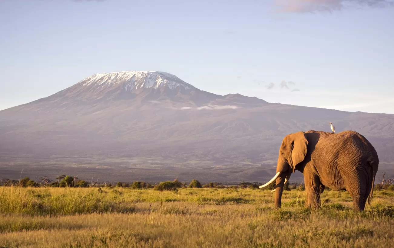 Tanzania