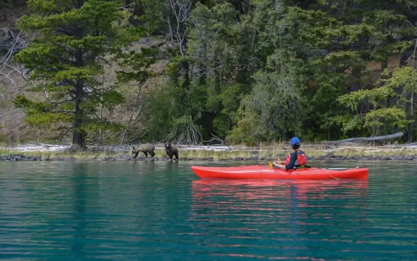 The Chilko Experience - Bear sighting while kayaking!