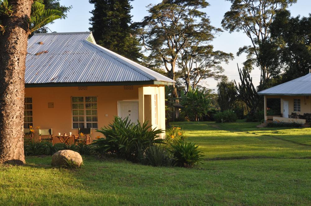 Kilimanjaro Halisi Retreat - Mount Kilimanjaro tours in Tanzania, Africa.