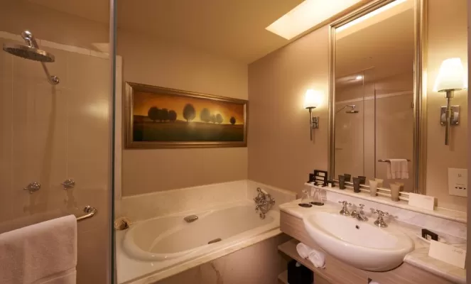 Premium Room Bathroom