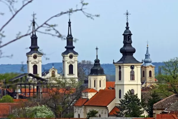 Visit the town of Novi Sad