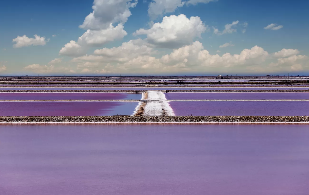 Salt Pond in Camargue, Southern Provence, France