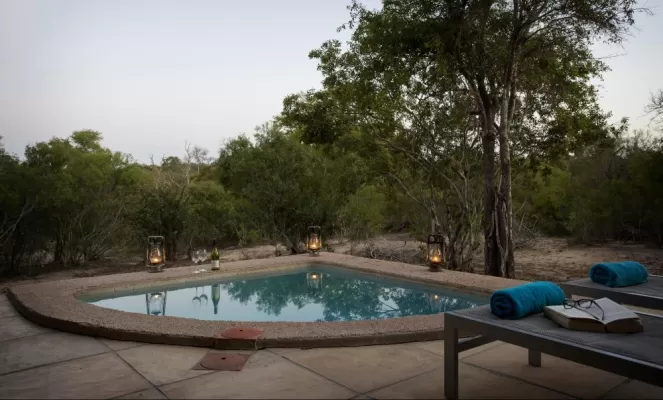 Bush facing luxury room with a private pool