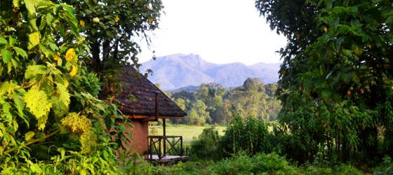 Bale Mountain Lodge
