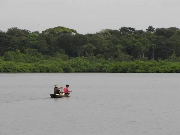 Fishing in a canoe in the mangrove forest