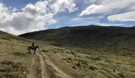 Horseback riding outside Puerto Natales