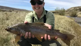 Fly Fishing brown trout in Patagonia