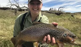 brown trout of Patagonia