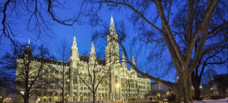 Rathaus in Vienna