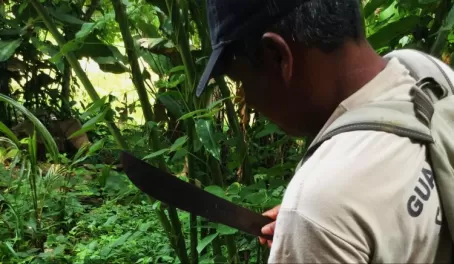 Justo cutting open a coconut for us to eat