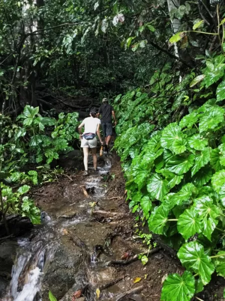 Hiking in Corcovado National Park