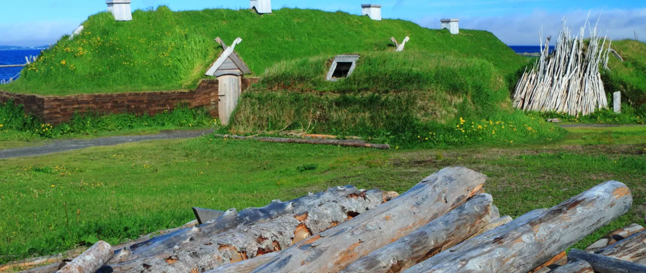 Viking settlement, Anse-aux-Meadows