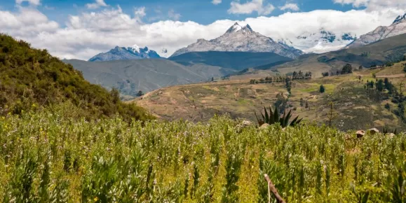 Santa Valley (Callejón de Huaylas). Near Huaraz