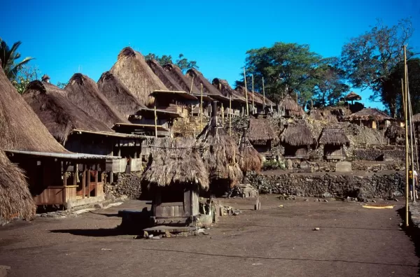 Traditional village in Flores, Indonesia