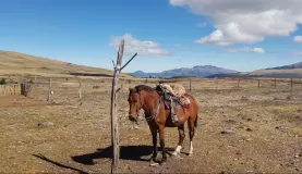Horseback riding in Cotopaxi