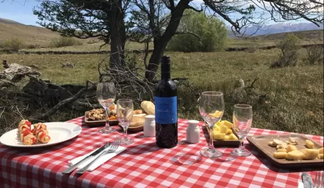 Gourmet picnic in Patagonia