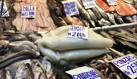 The Santiago fish market