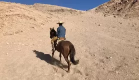 Horseback riding in Atacama