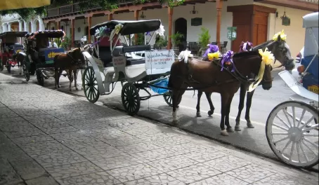 Horse drawn carriage anyone?