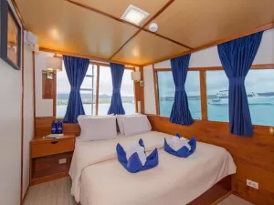 Beluga Cabin