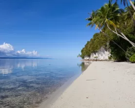 Beautiful wild coast of Raja Ampat, Indonesia