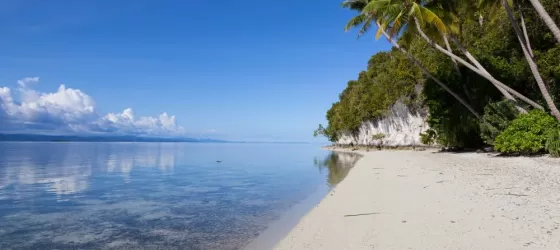 Beautiful wild coast of Raja Ampat, Indonesia