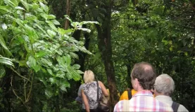 hiking in the Mombacho cloudforest