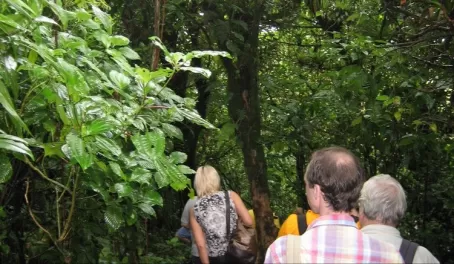 hiking in the Mombacho cloudforest