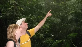 Spotting a bird, Mombacho cloudforest